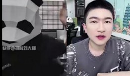 刘大锤爆料网红视频大全,网红视频大全背后的精彩瞬间